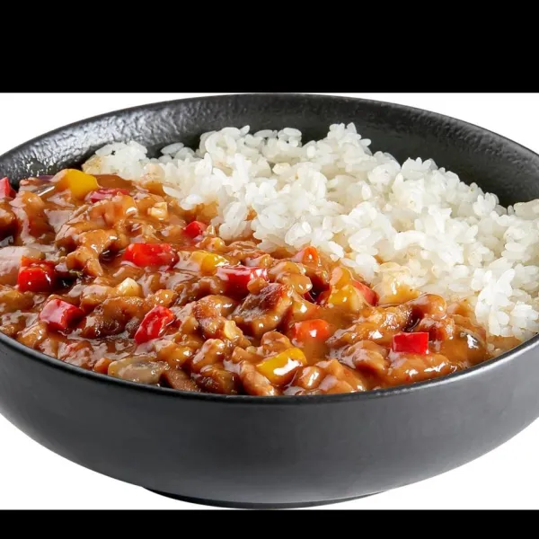 DONBURI MA PO PORK SPICY