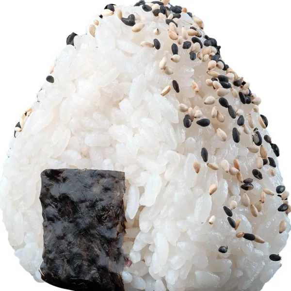 ONIGIRI SHAKE 1 PIEZA